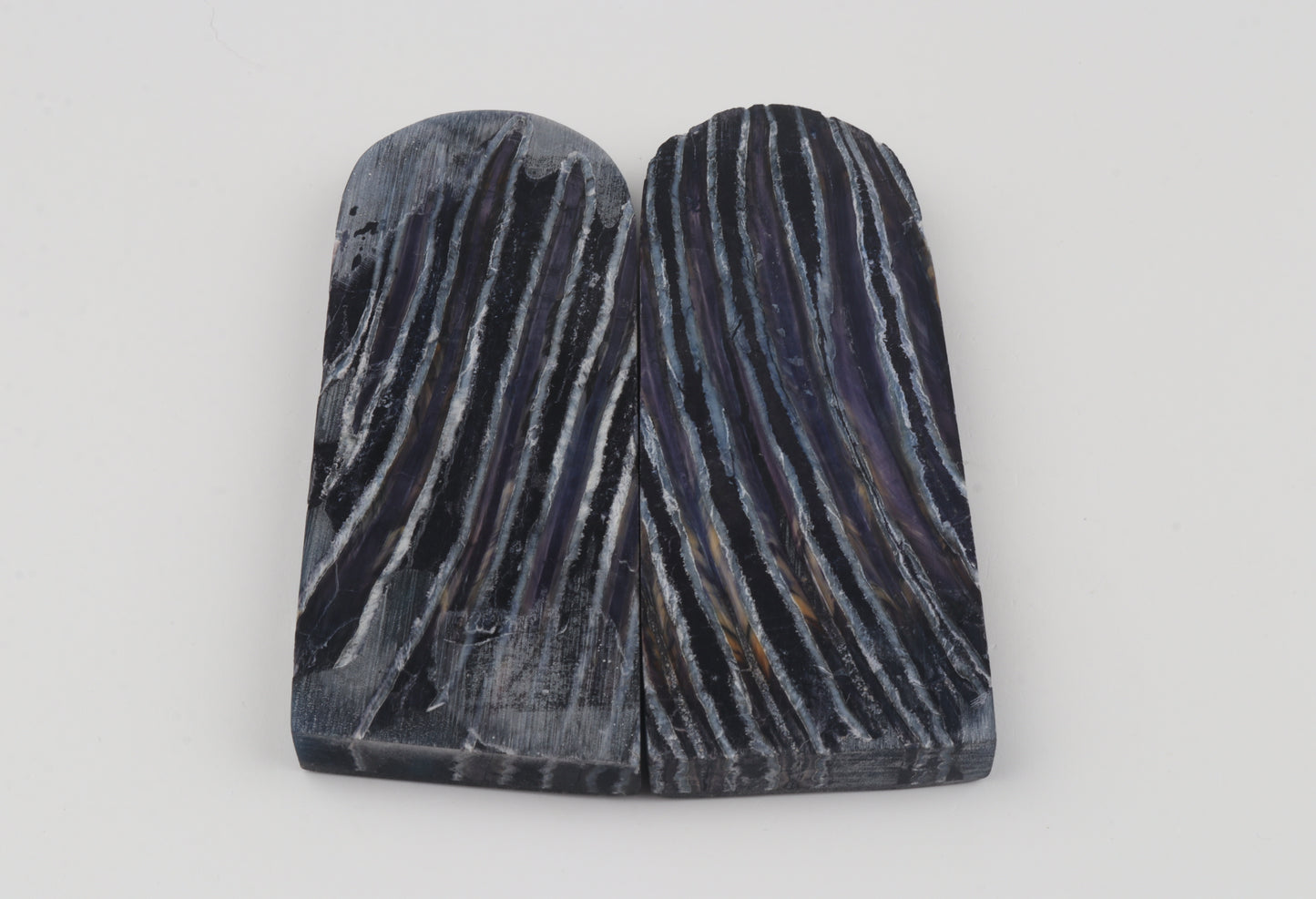 Stabilised mammothj molar scales