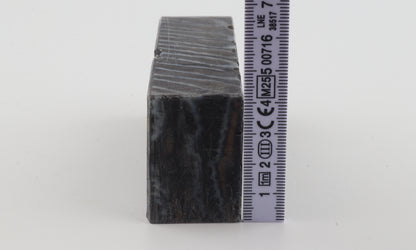 Stabilised mammoth molar block