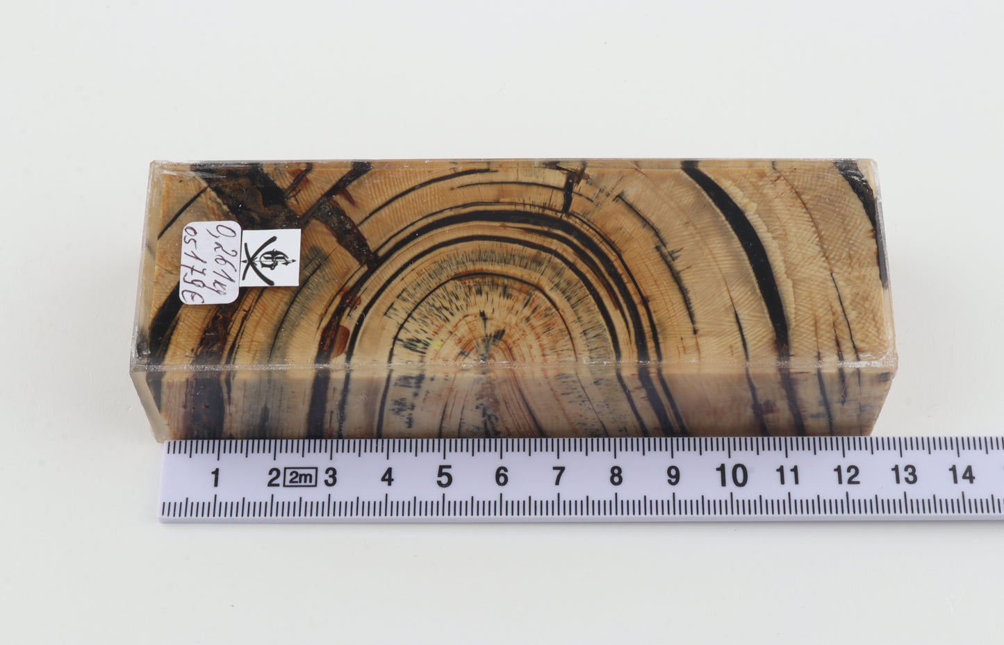 Stabilised mammoth ivory block