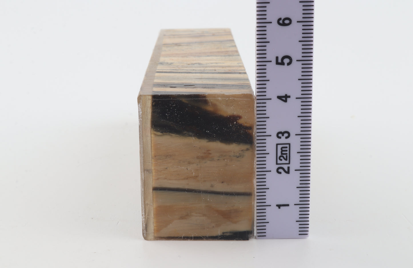 Stabilised mammoth ivory block