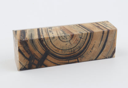 Stabilised mammoth ivory block