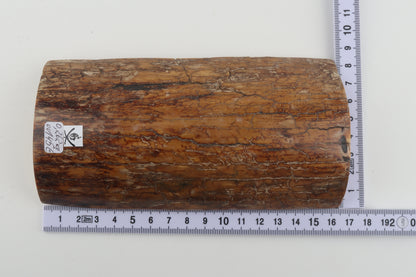 Mustard mammoth bark