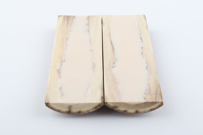 Stabilised mammoth bark scales