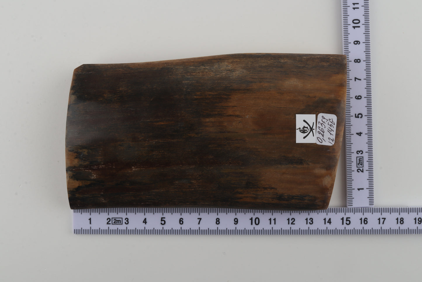 Natural woolly mammoth bark