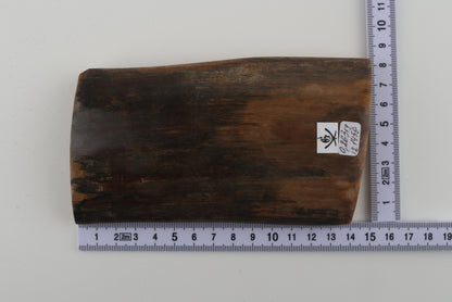 Natural woolly mammoth bark