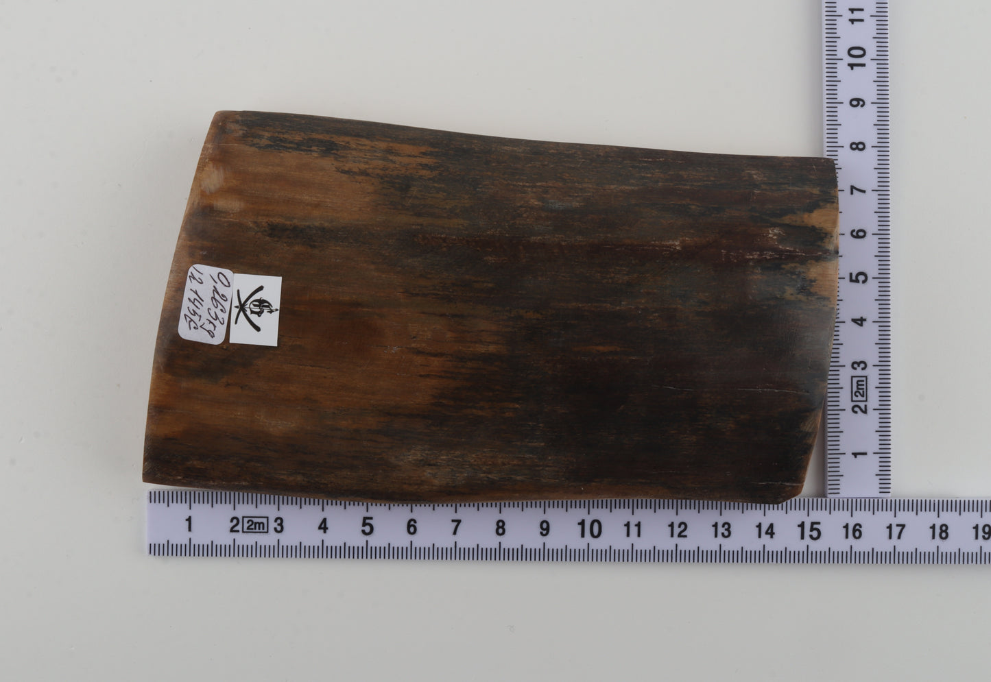 Natural woolly mammoth bark