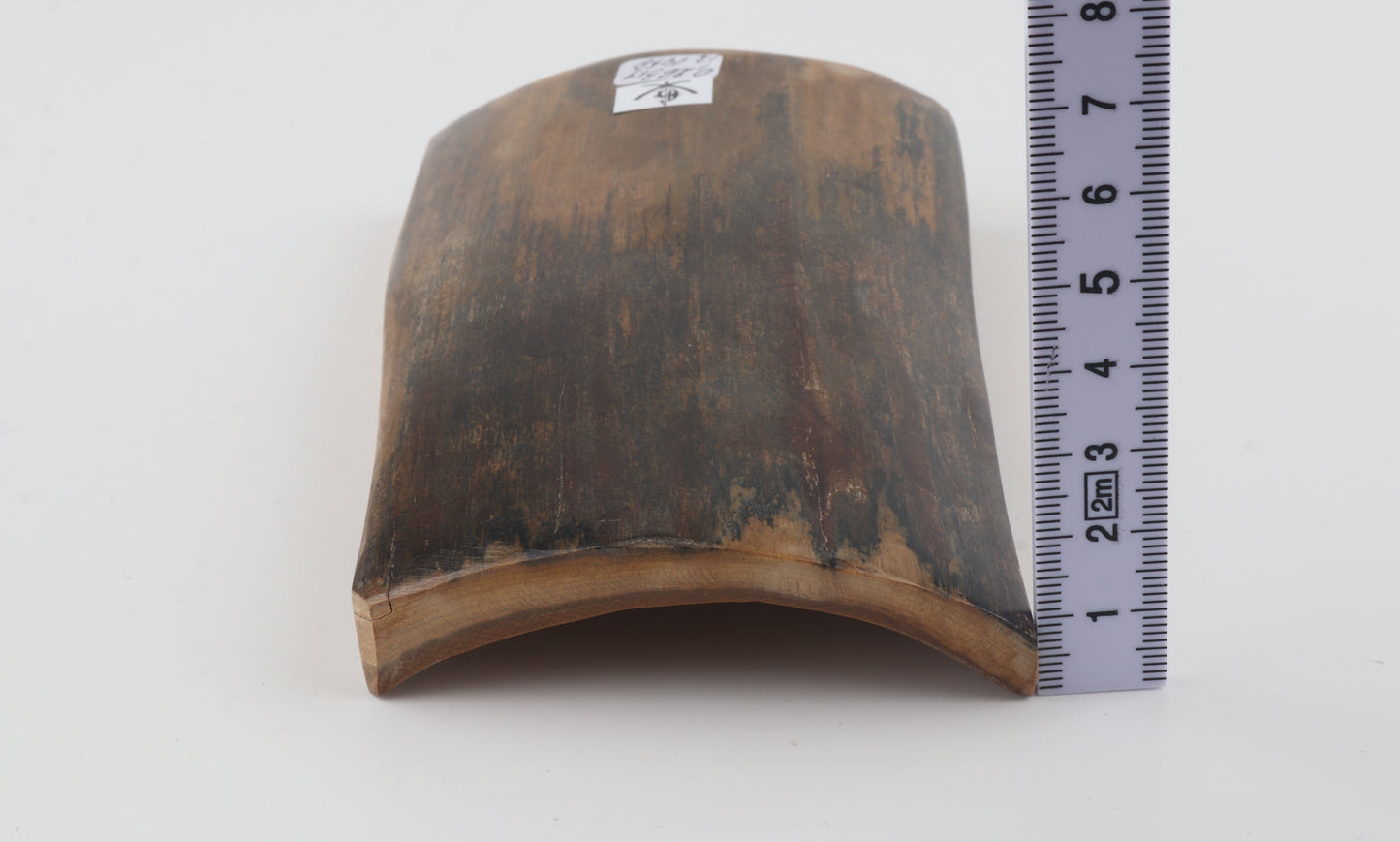 Natural woolly mammoth bark