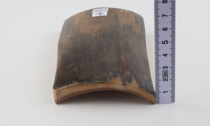 Natural woolly mammoth bark