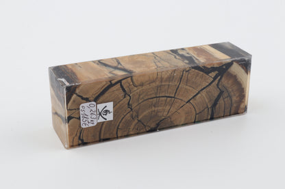 Stabilized mammoth ivory block