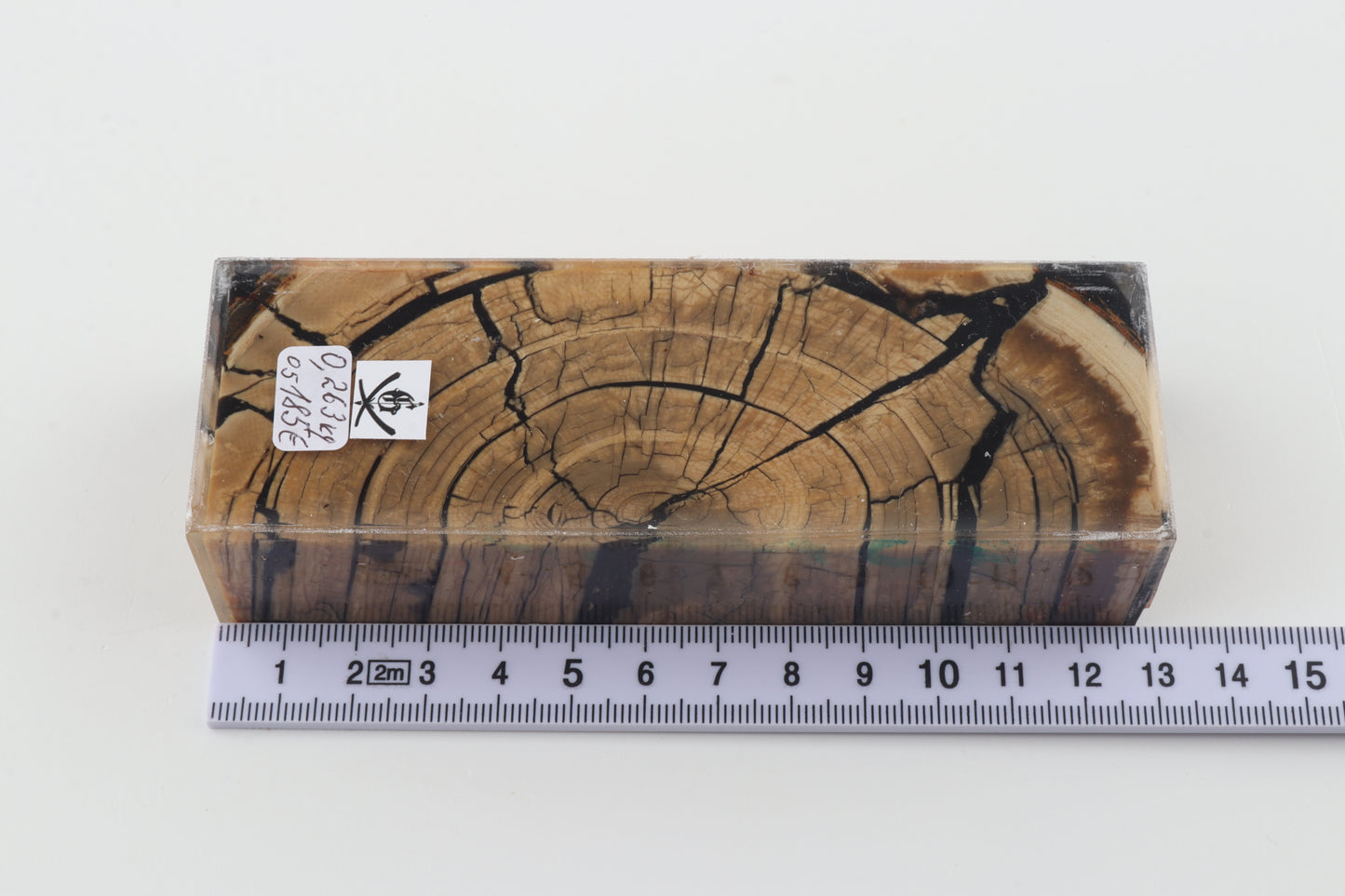 Stabilized mammoth ivory block