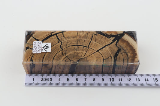 Stabilized mammoth ivory block