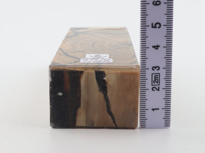 Stabilized mammoth ivory block