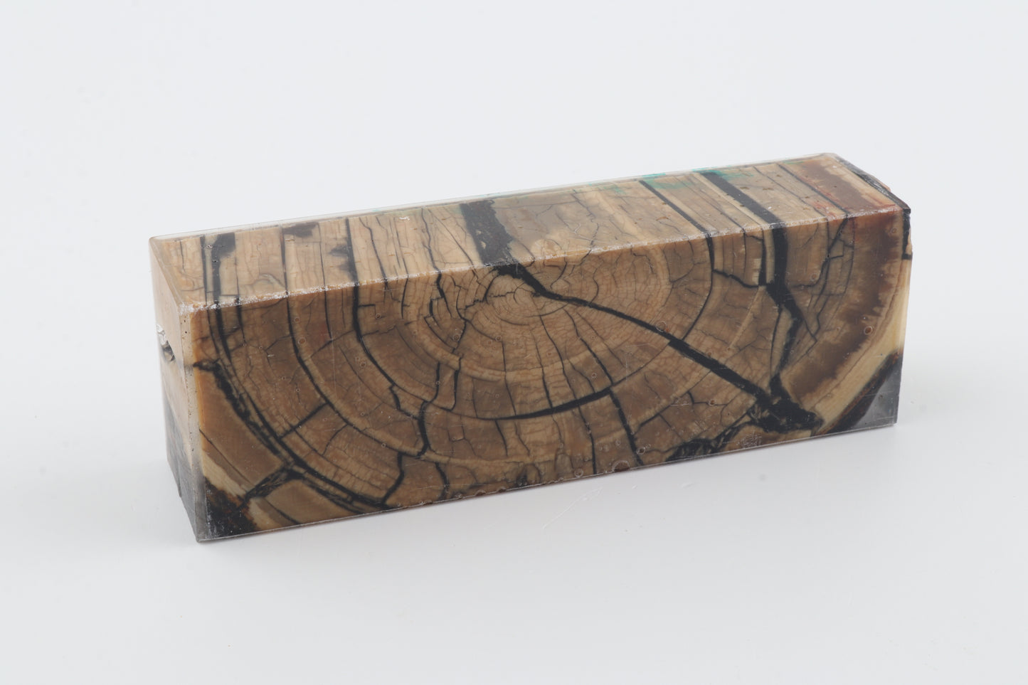 Stabilized mammoth ivory block