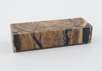 Stabilized mammoth ivory block