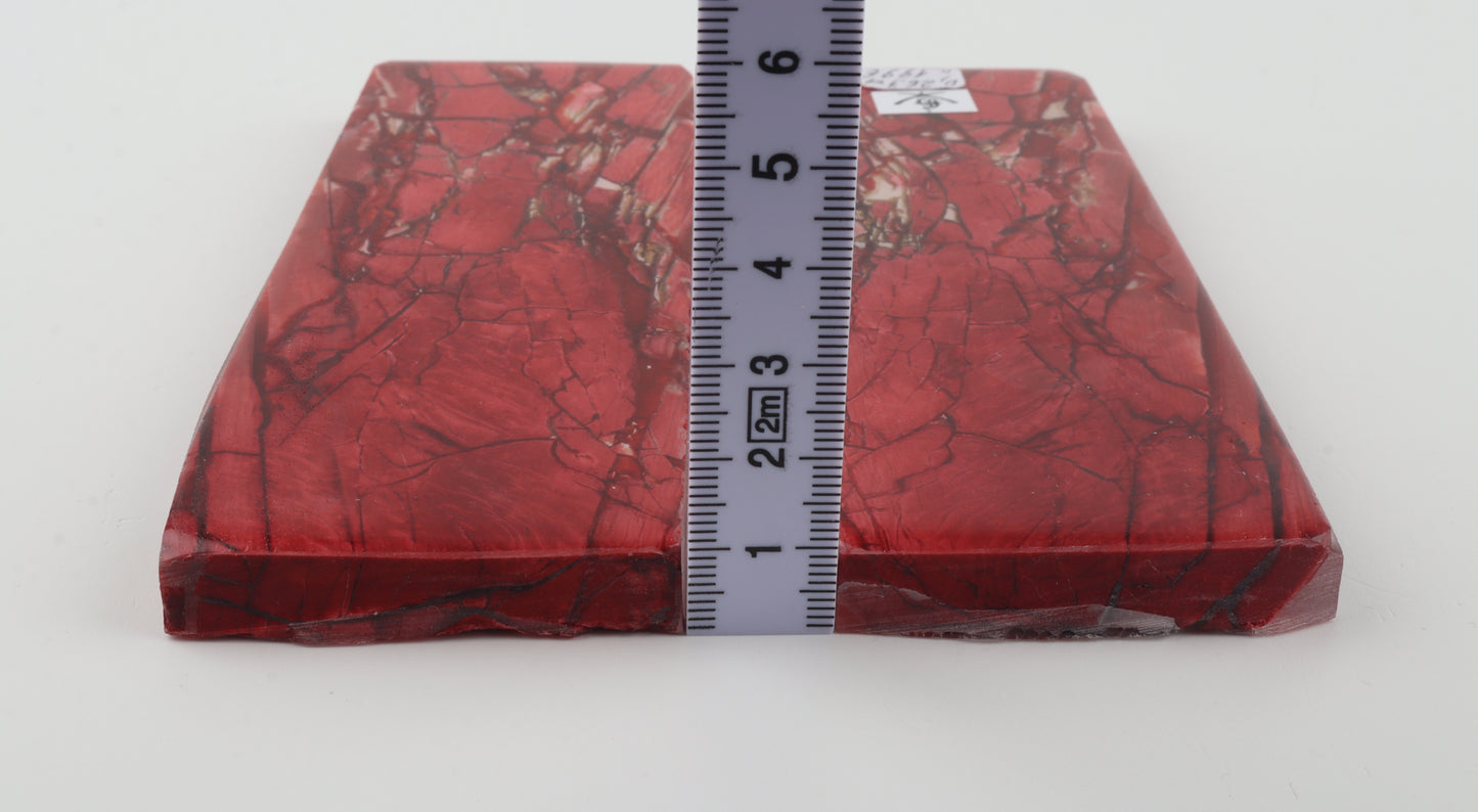 Stabilised mammoth ivory scales