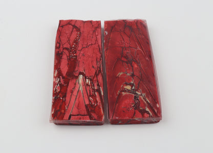 Stabilised mammoth ivory scales