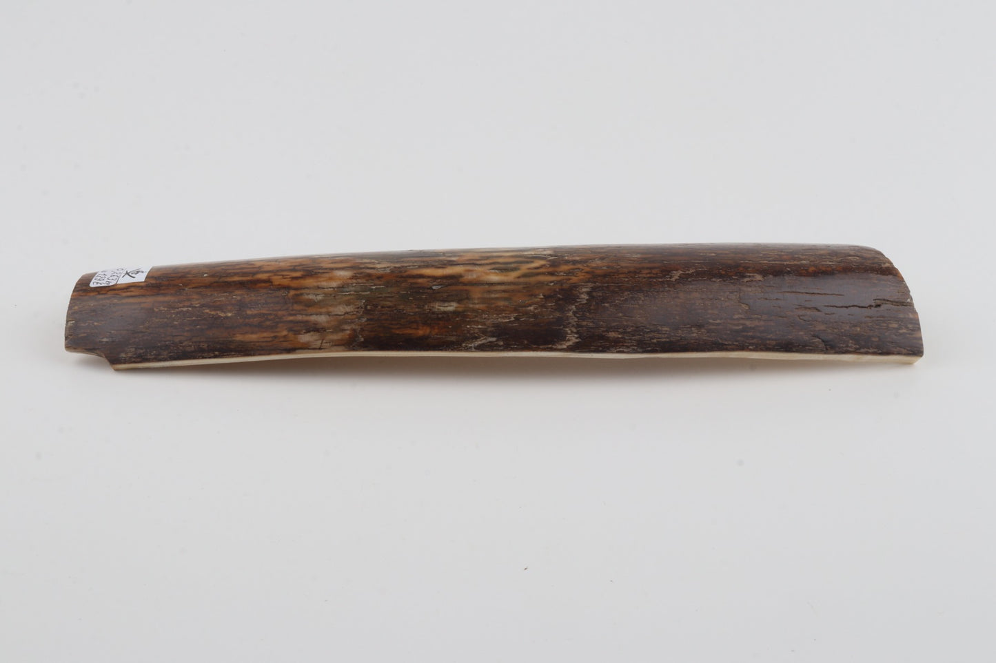 Brown-green mammoth bark