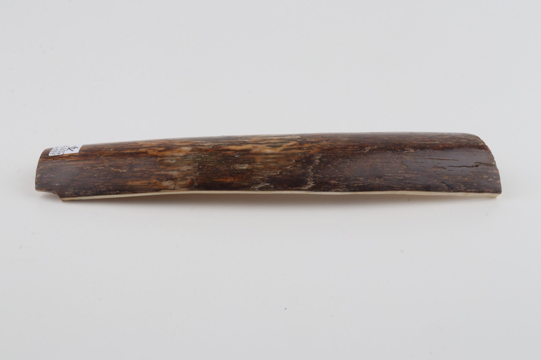 Brown-green mammoth bark