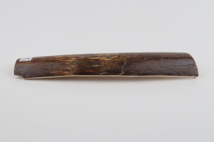 Brown-green mammoth bark