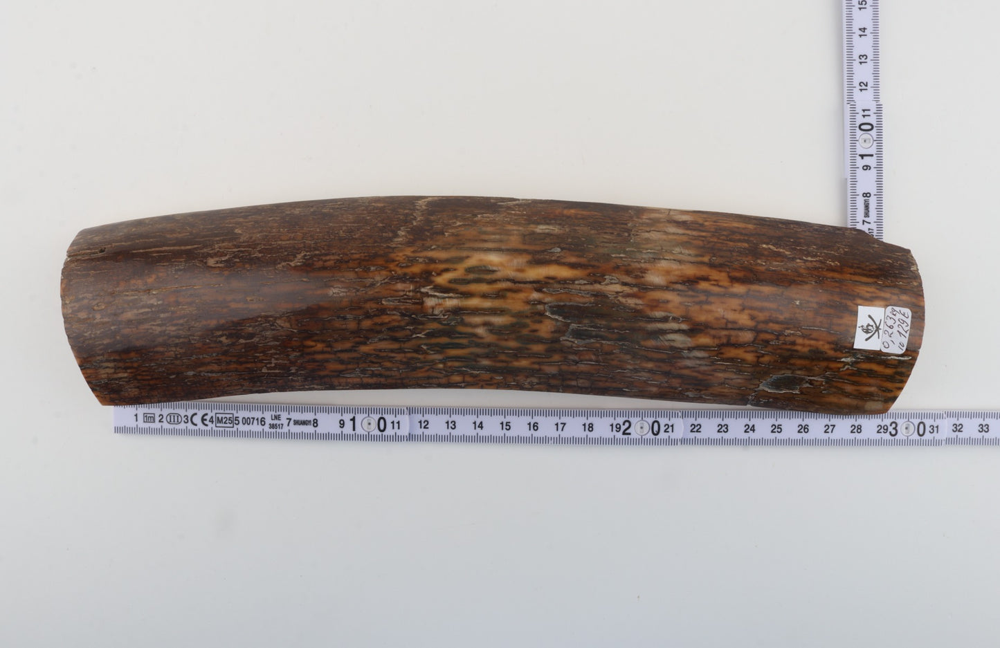 Brown-green mammoth bark