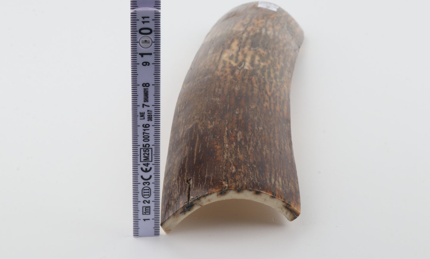 Brown-green mammoth bark