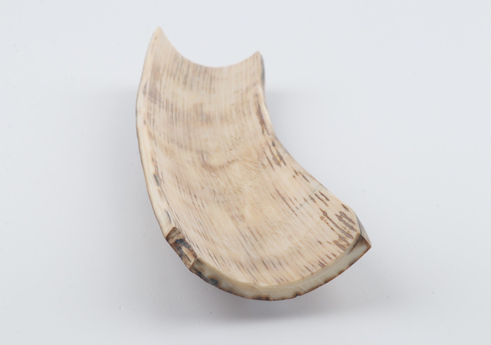 Brown-green mammoth bark
