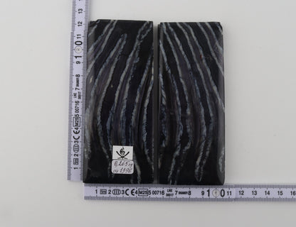 Stabilized mammoth molar scales