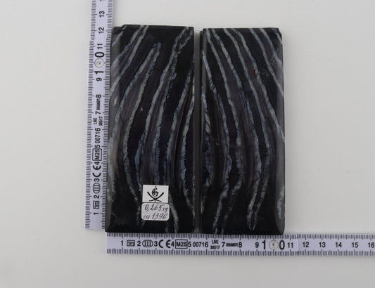 Stabilized mammoth molar scales