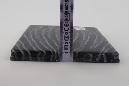 Stabilized mammoth molar scales