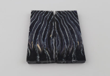 Stabilized mammoth molar scales