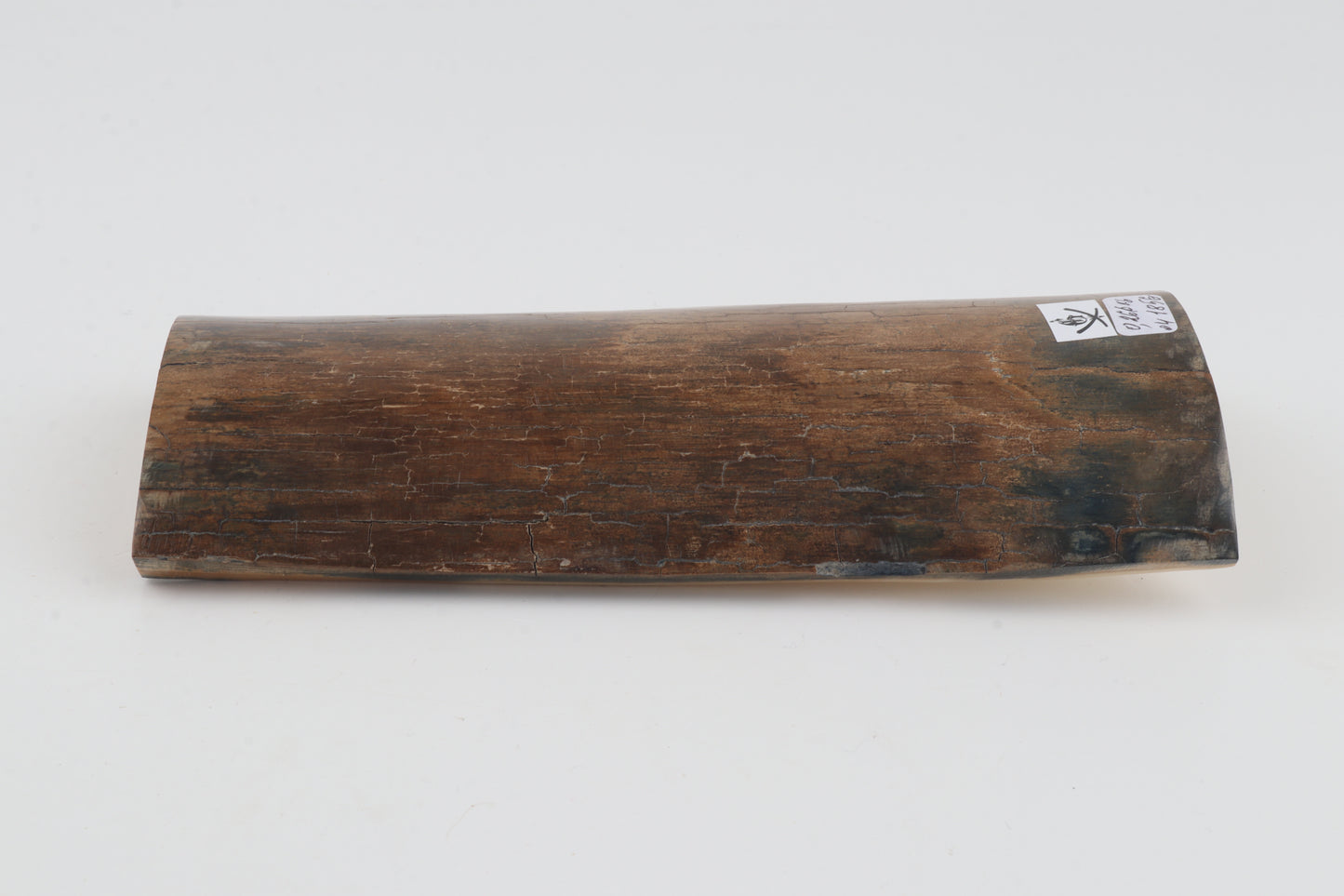 Beige-brown mammoth bark