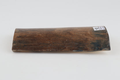 Beige-brown mammoth bark