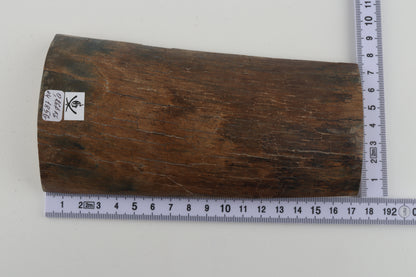 Beige-brown mammoth bark