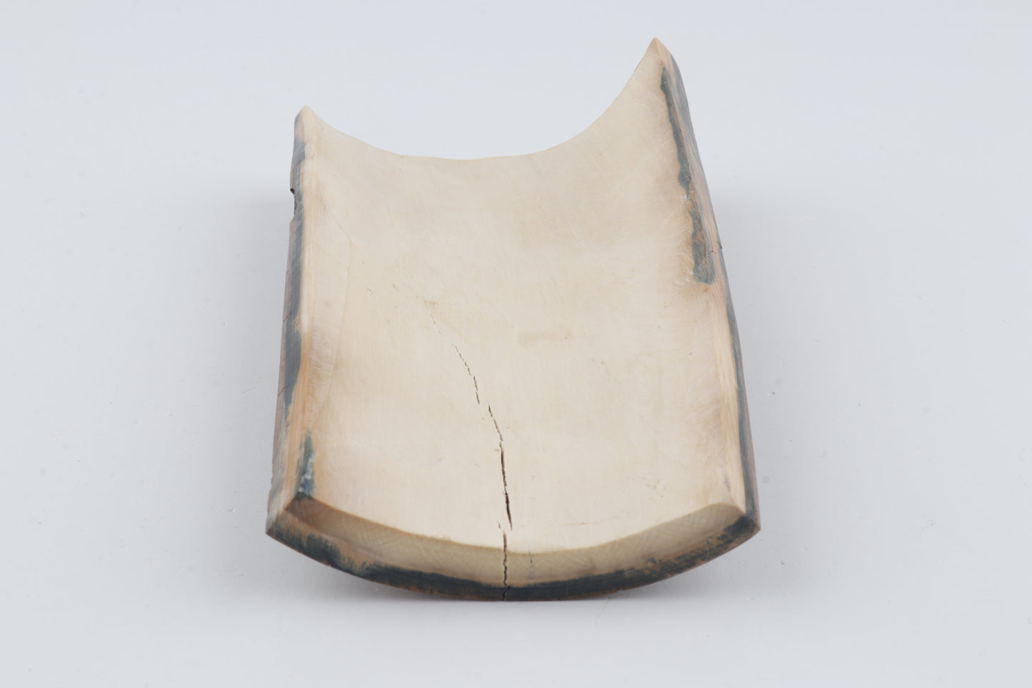 Beige-brown mammoth bark