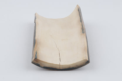Beige-brown mammoth bark