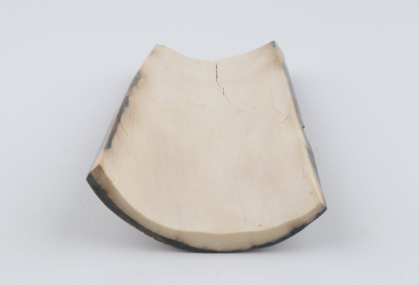 Beige-brown mammoth bark