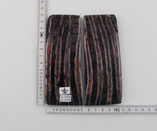 Stabilised mammoth molar scales