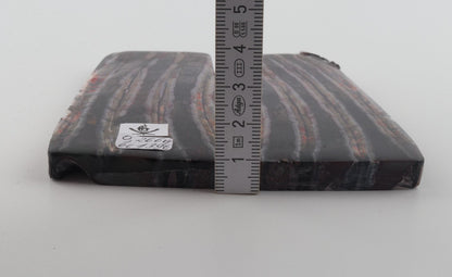 Stabilised mammoth molar scales