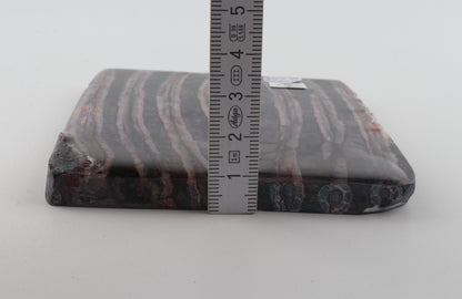 Stabilised mammoth molar scales