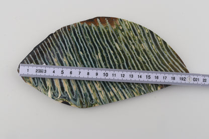 Stabilized mammoth molar piece