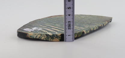 Stabilized mammoth molar piece