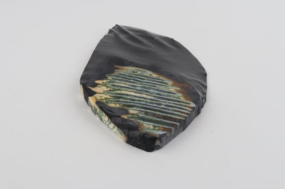 Stabilized mammoth molar piece