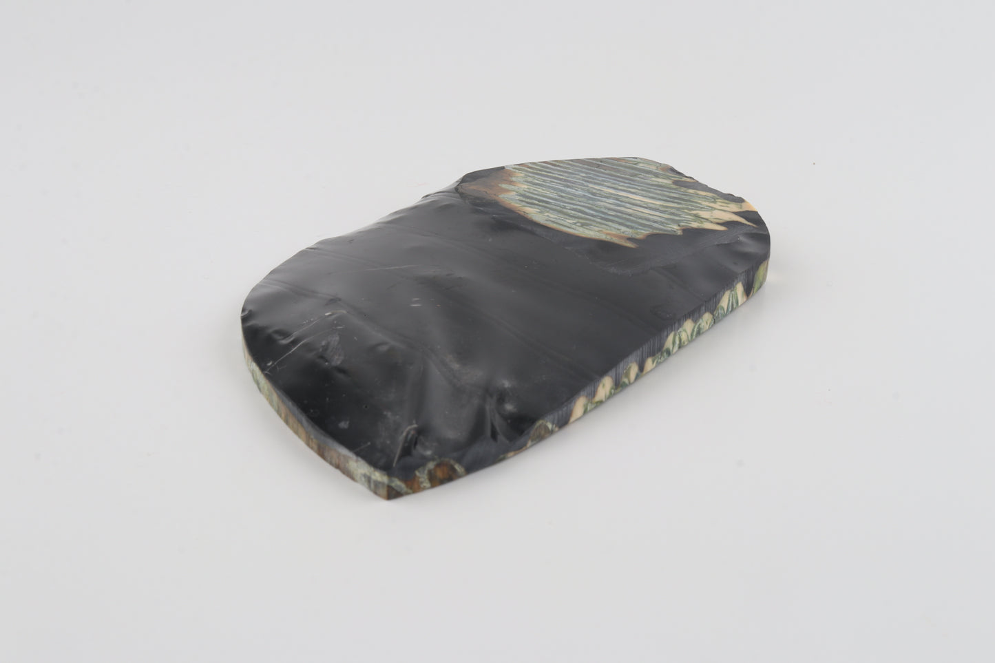 Stabilized mammoth molar piece