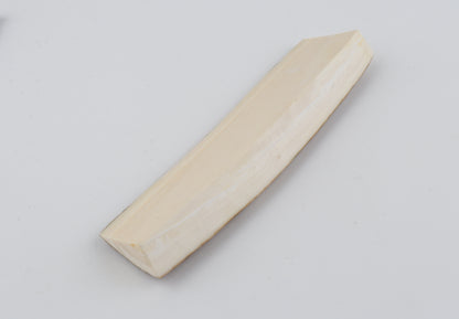 Natural mammoth ivory piece