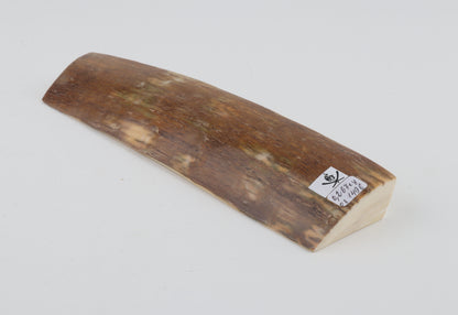 Natural mammoth ivory piece