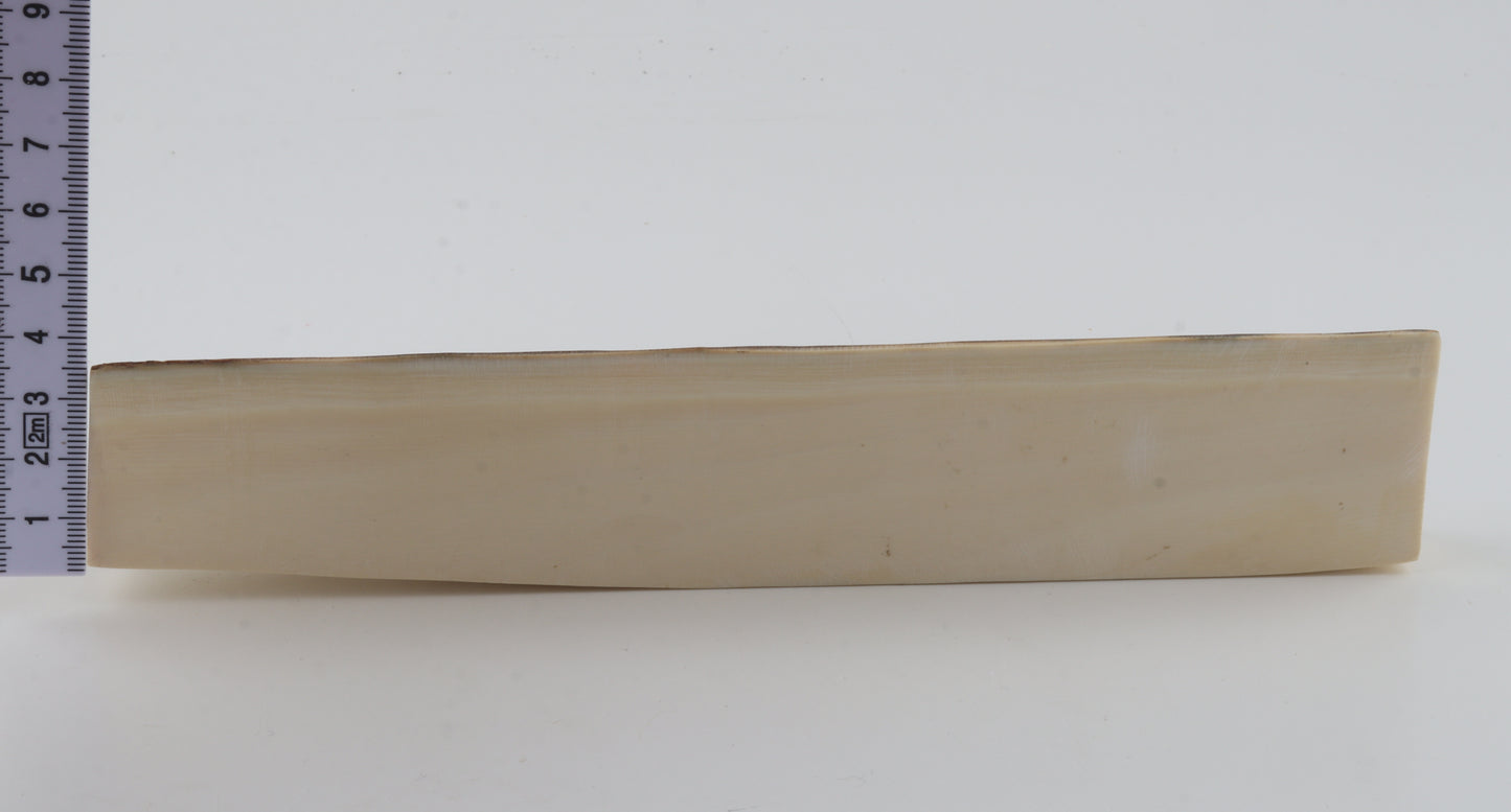 Natural mammoth ivory piece