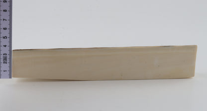 Natural mammoth ivory piece