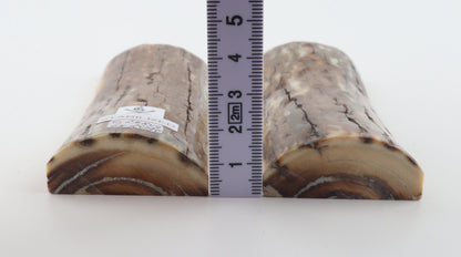 Stabilized mammoth bark scales
