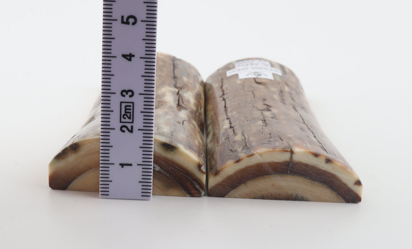 Stabilized mammoth bark scales