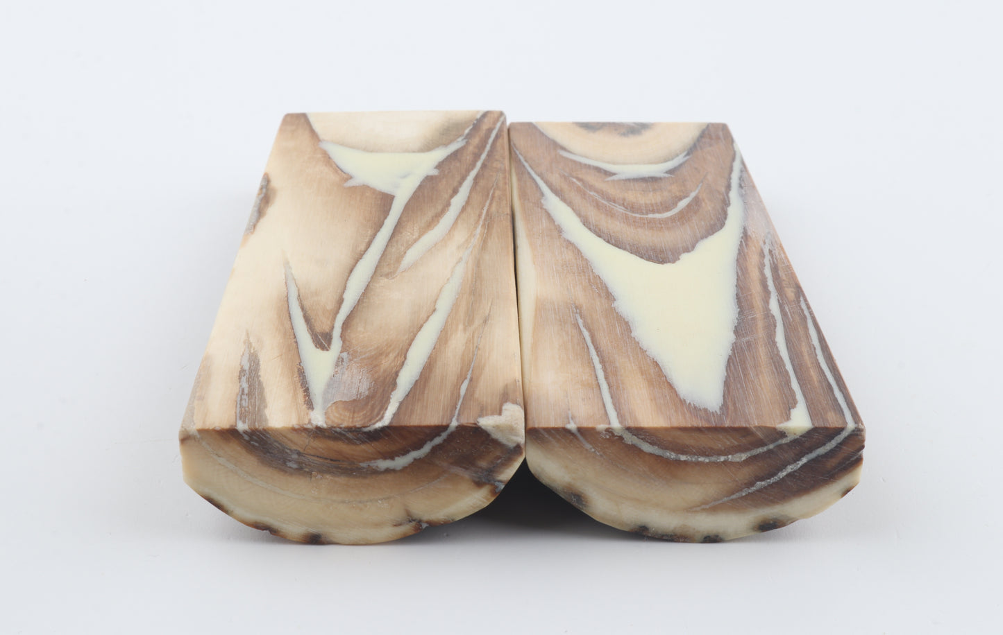 Stabilized mammoth bark scales